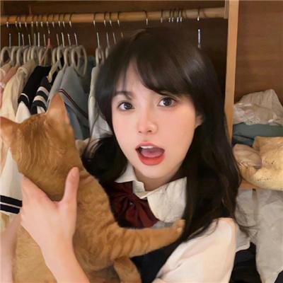 夜之蝶